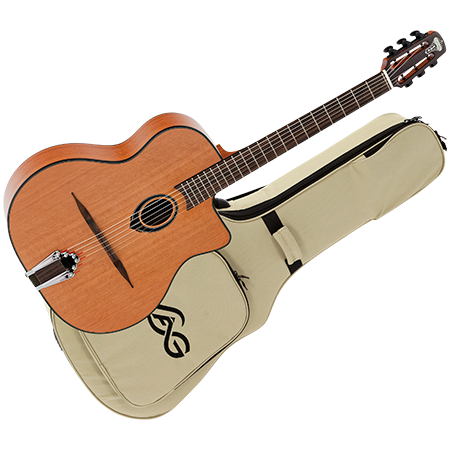Swing SL100