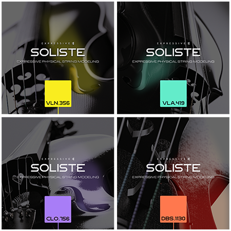 Soliste (licence)