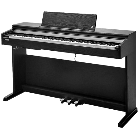 CUP-M1 SR Rosewood