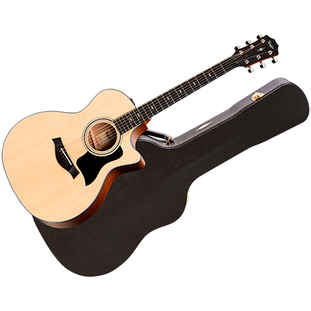 Taylor 314ce + Etui