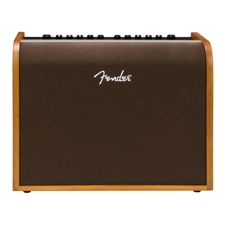 Fender Acoustic 100