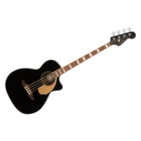 Electro-Acoustic Bass