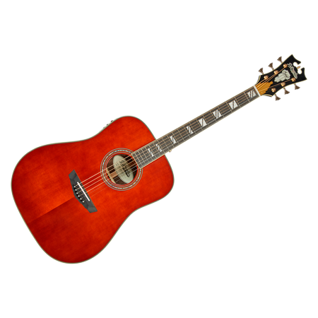 Excel Lexington Auburn D'Angelico