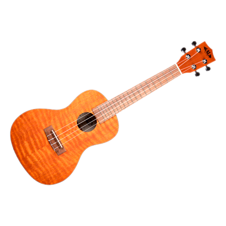 Kala Exotic Mahogany Concert
