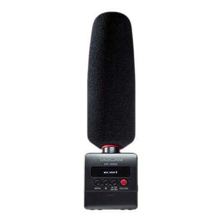 Tascam DR-10SG