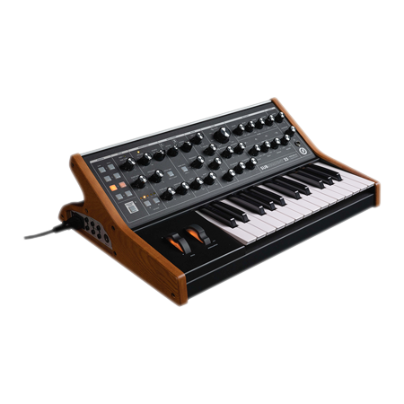 Moog Subsequent 25