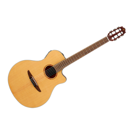 Yamaha NTX1