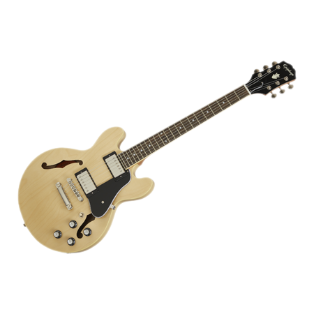 Semiacoustic Guitar