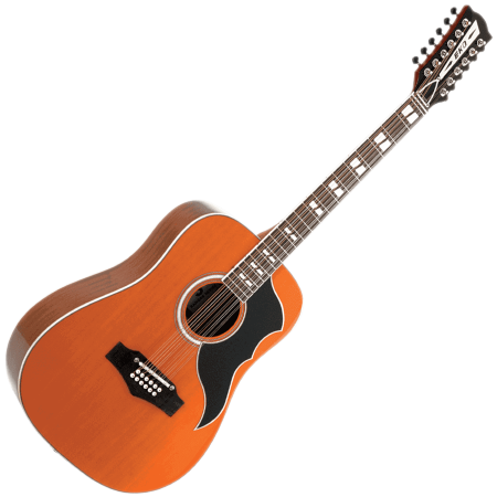 Acoustic Guitar 12 Strings