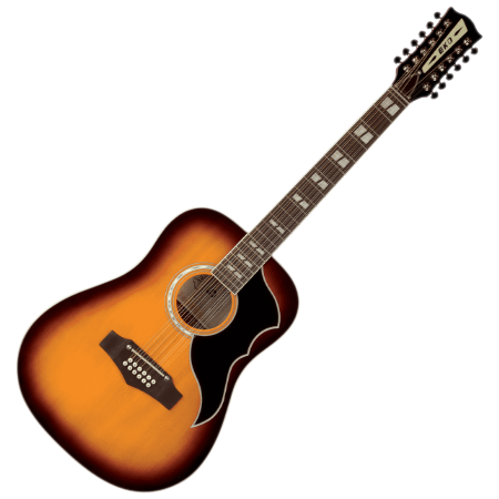 Acoustic Guitar 12 Strings