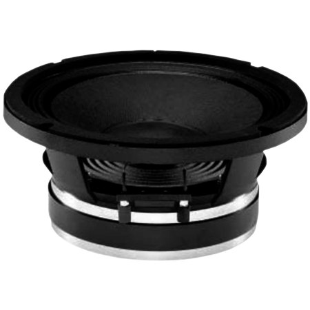 B&C Speakers 10PE26