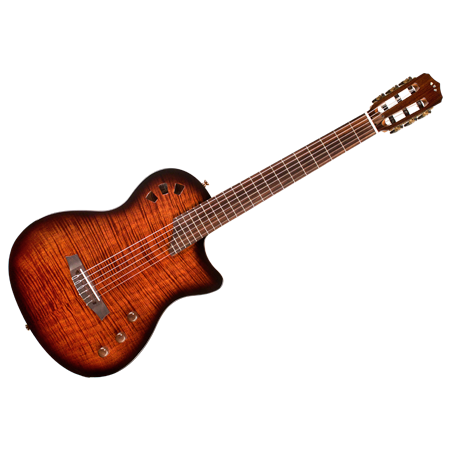 Nylon-Strings Electro Acoustic Guitar
