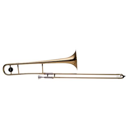 WS-TB225S - Trombone professionnel ténor simple en Sib