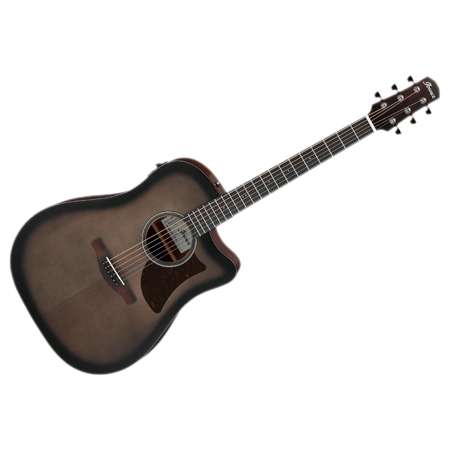 Ibanez AAD50CE-TCB
