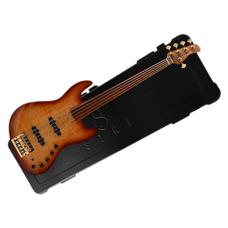 Marcus Miller V10 DX Swamp Ash-5 TS FL MN