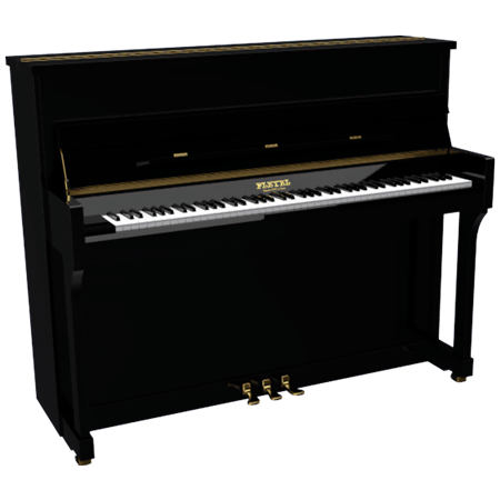 P 120 Black