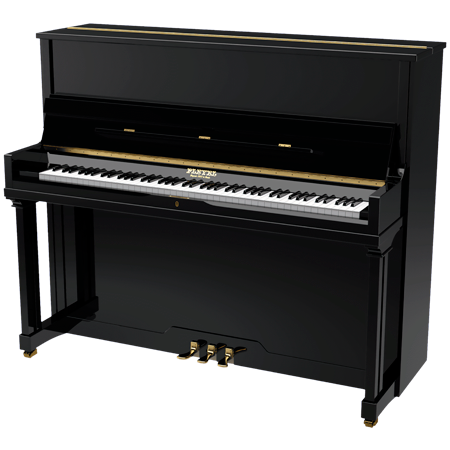 P 124 Black Pleyel