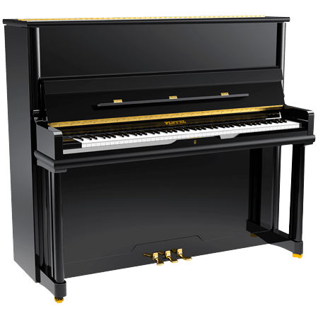 P 131 Black Pleyel