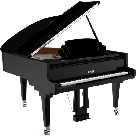 Pleyel P 170 Trocadero Black