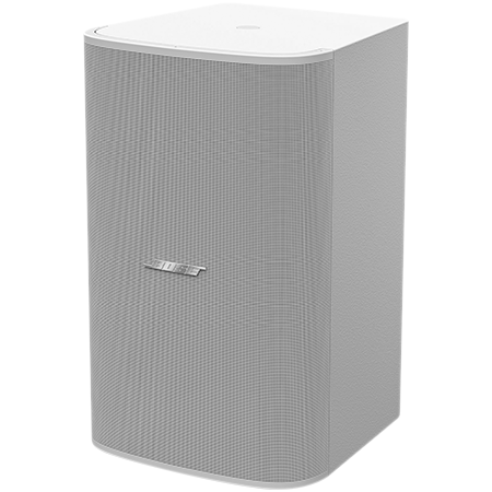 Bose Professional DesignMax DM10S-SUB White (l'unité)
