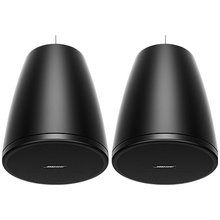Bose Professional DesignMax DM3P Black (la paire)