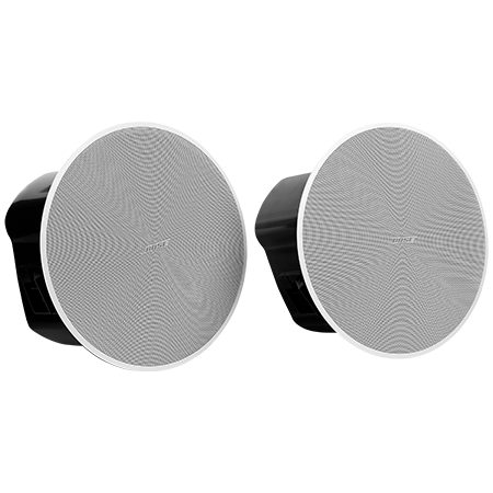 Bose Professional DesignMax DM6C White (la paire)