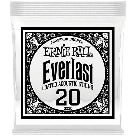 Ernie Ball 10220 Everlast Coated Phophore Bronze 20