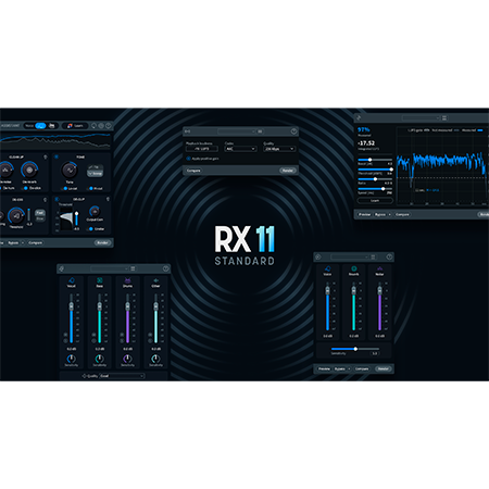 Izotope - RX 11 Standard (licence)