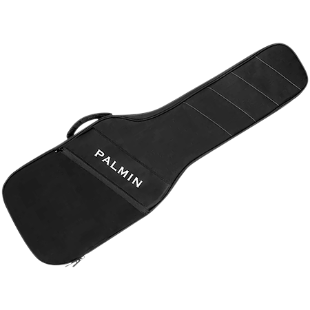 Lite Case Electric Guitar case Black Palmin