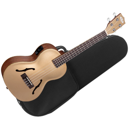 Kala Archtop Kalamazoo Gold Tenor + étui