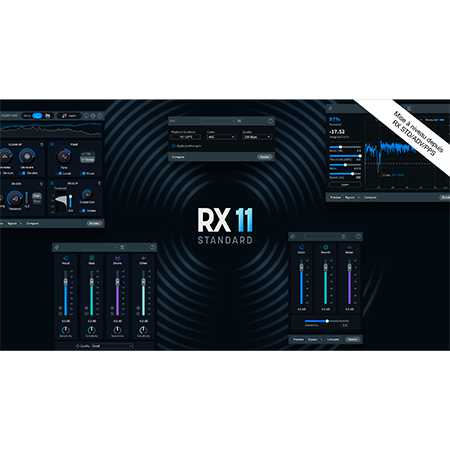 Izotope RX 11 Standard Upg RX Std/Adv/PPS (licence)