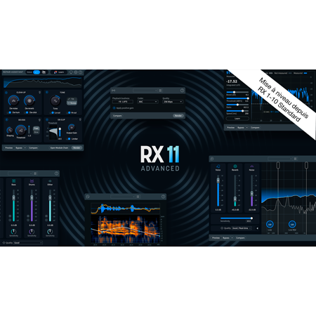 Izotope RX 11 Advanced Upg RX Std (licence)