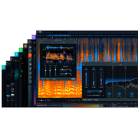 Izotope RX Post Production Suite 8 (licence)