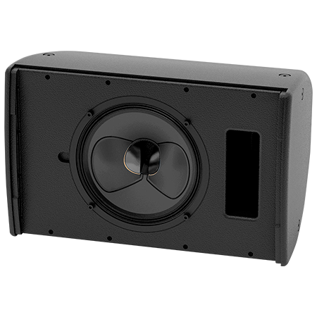 Martin Audio CDD10 Black (l'unité)