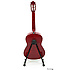 C542TR Stagg