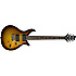 R500 TS Stagg