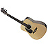 SW203LHN Stagg