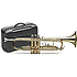 77T Stagg