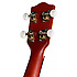 US60S Stagg