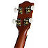 US70S Stagg