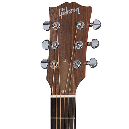 Gibson G-Bird + Acoustic Player Port Cover + Cordes
