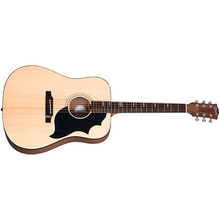 G-Bird + Acoustic Player Port Cover + Cordes Gibson