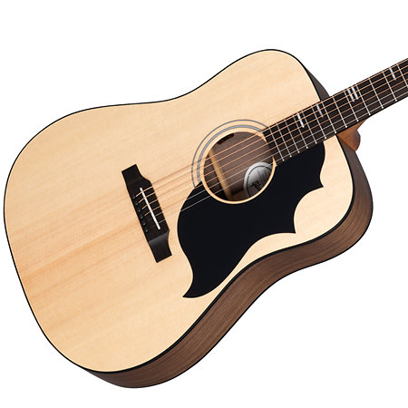 G-Bird + Acoustic Player Port Cover + Cordes Gibson