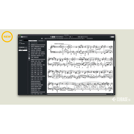 Cubase Artist 14 Steinberg
