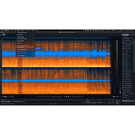 RX 11 Advanced EDU (licence) Izotope