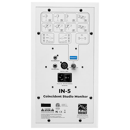 IN-5W Enceinte de monitoring (l'unité) Kali Audio