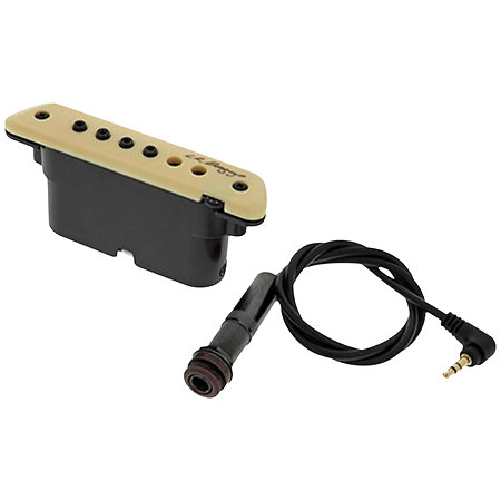 LR Baggs M1 Actif Micro Rosace Pour Folk