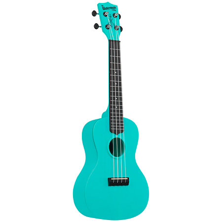 Waterman Concert Aqua Mist Glow in the Dark Kala