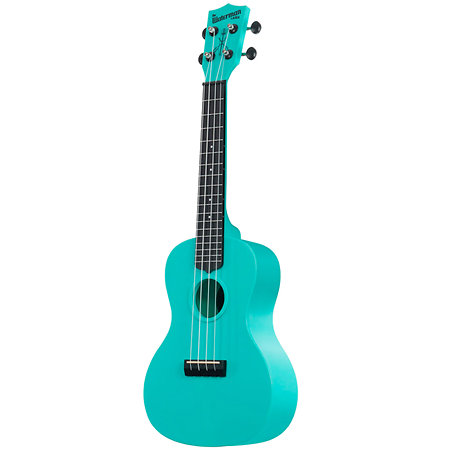 Waterman Concert Aqua Mist Glow in the Dark Kala