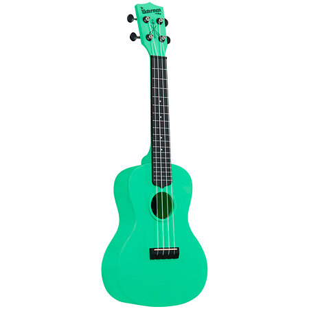 Concert Waterman Sea Foam Green Kala
